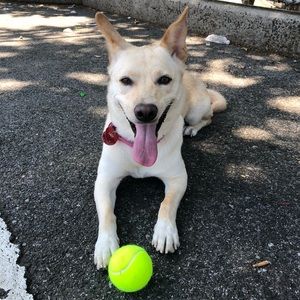 Meet your Posher, Angel